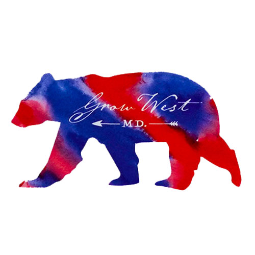 4th of July Bear